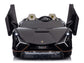 24V Lamborghini Sian Two-Seater Kids Ride On Car with Remote - Black